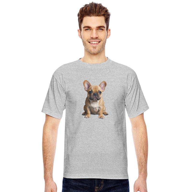 A cute French bulldog puppy