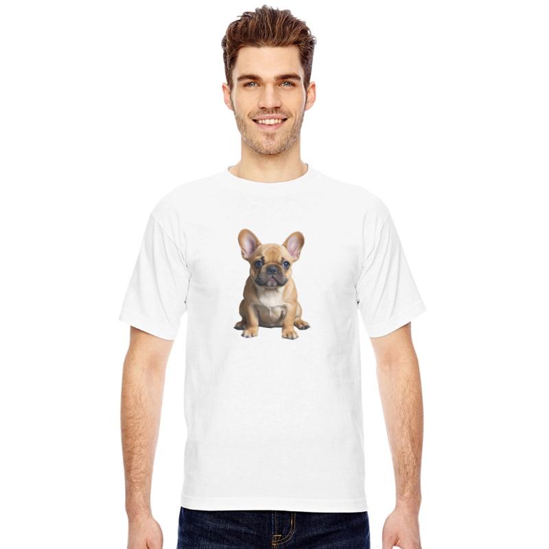 A cute French bulldog puppy