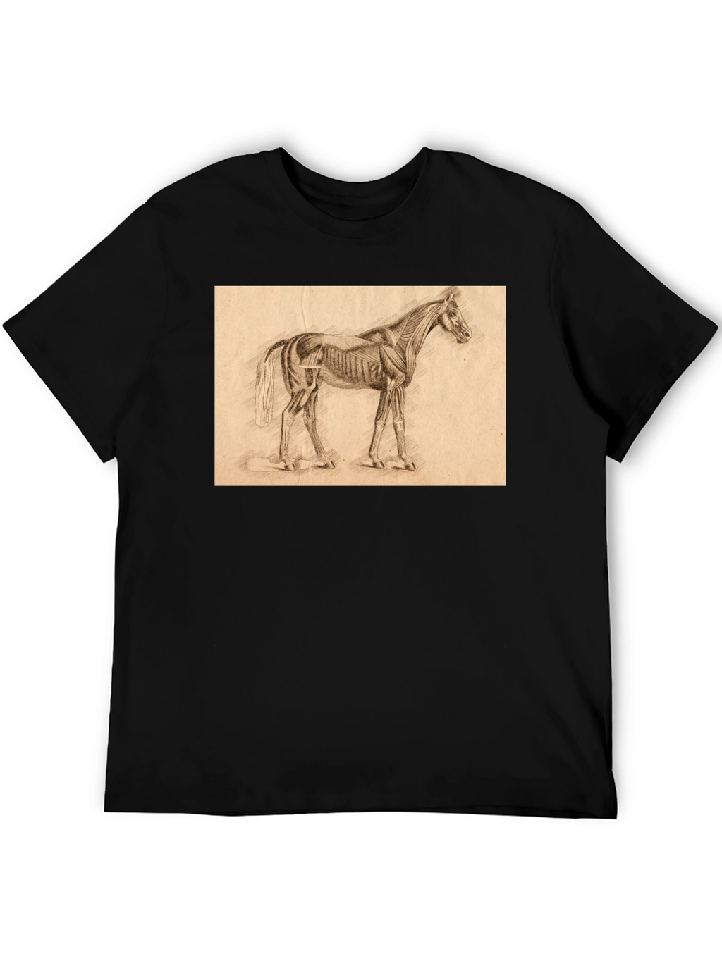 Horse Anatomy Sketch Black T-Shirt