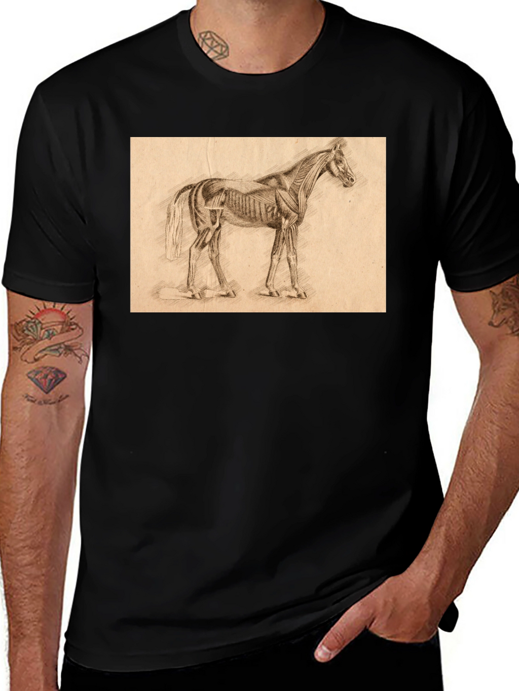 Horse Anatomy Sketch Black T-Shirt