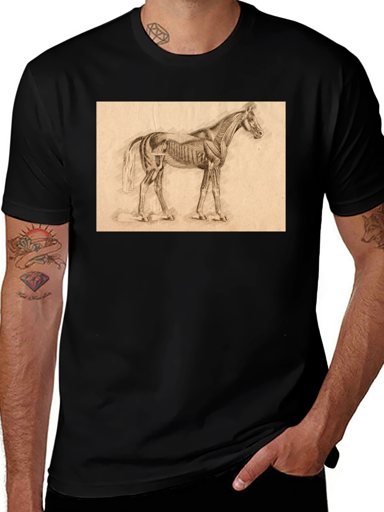 Horse Anatomy Sketch Black T-Shirt