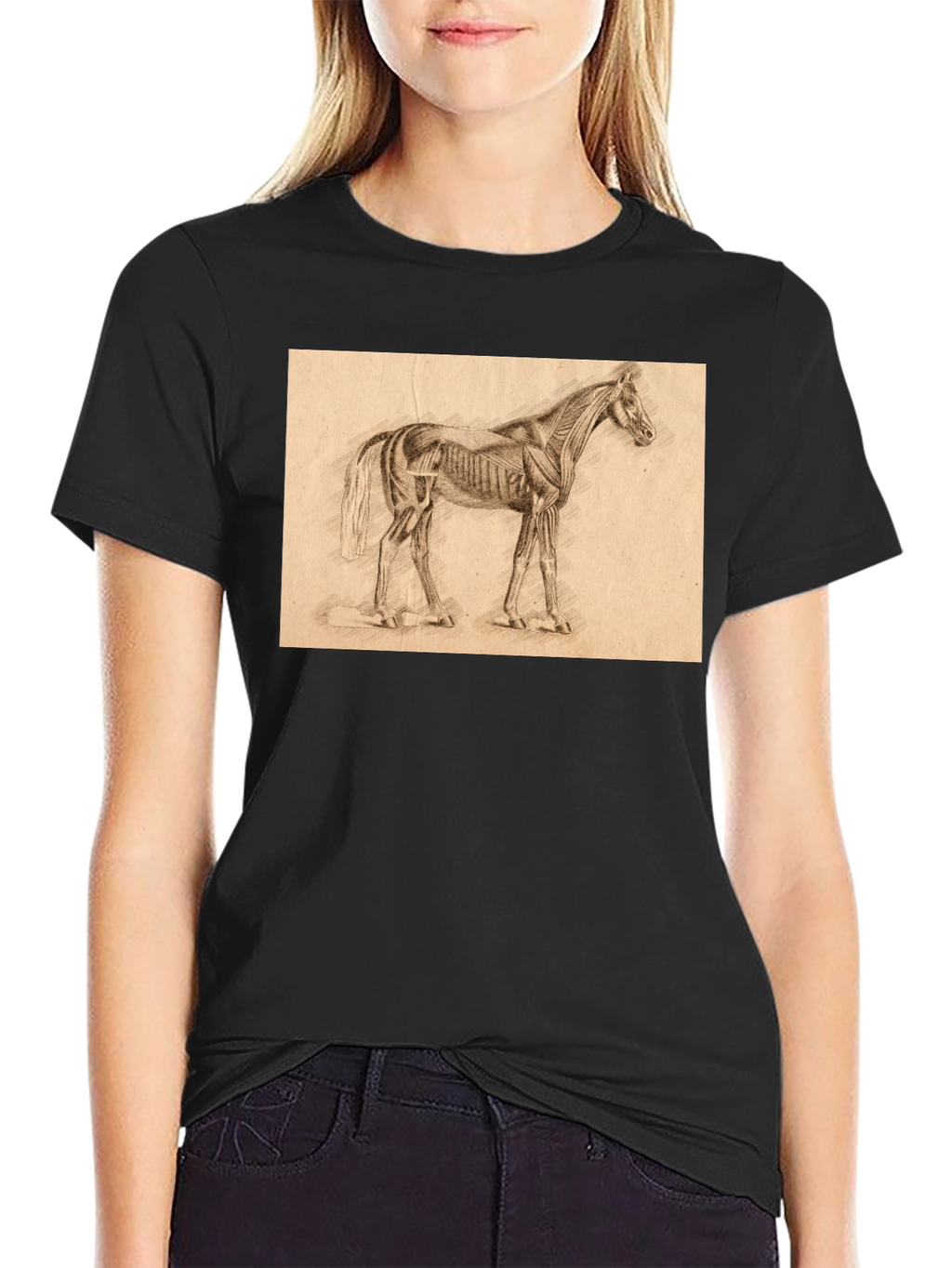 Horse Anatomy Sketch Black T-Shirt