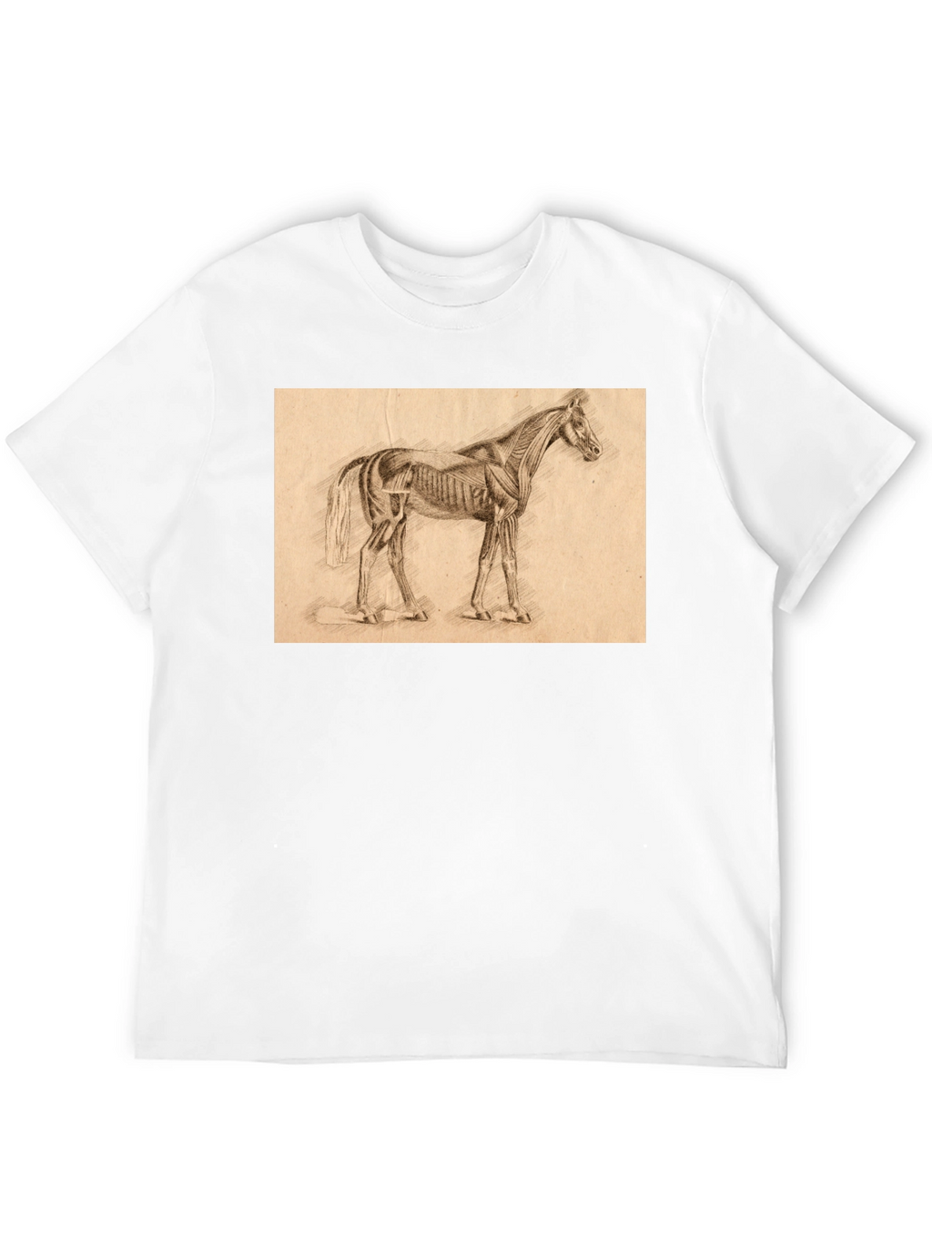 Horse Anatomy Sketch Black T-Shirt