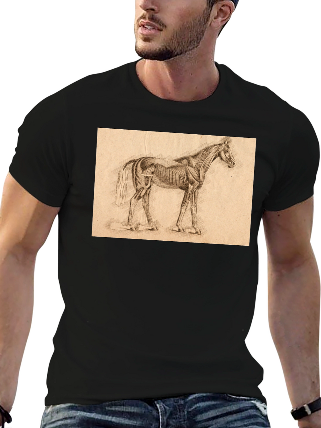 Horse Anatomy Sketch Black T-Shirt