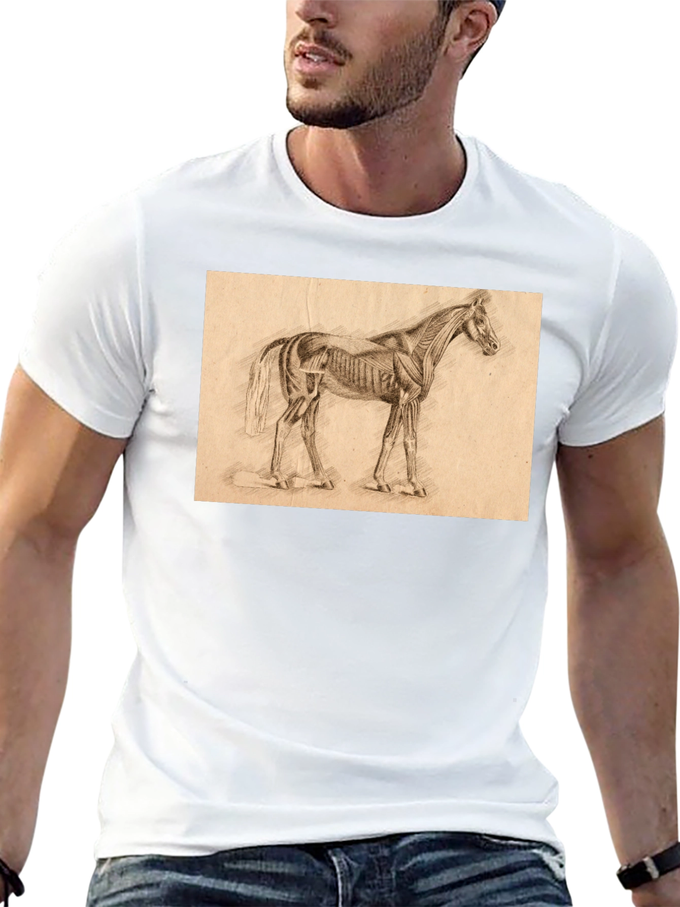 Horse Anatomy Sketch Black T-Shirt