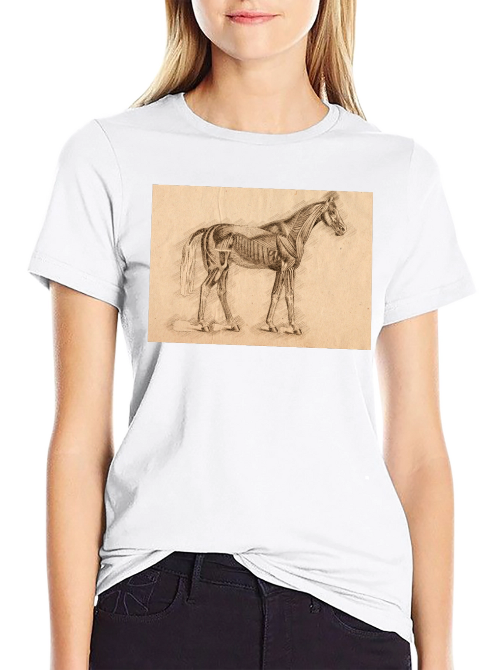 Horse Anatomy Sketch Black T-Shirt