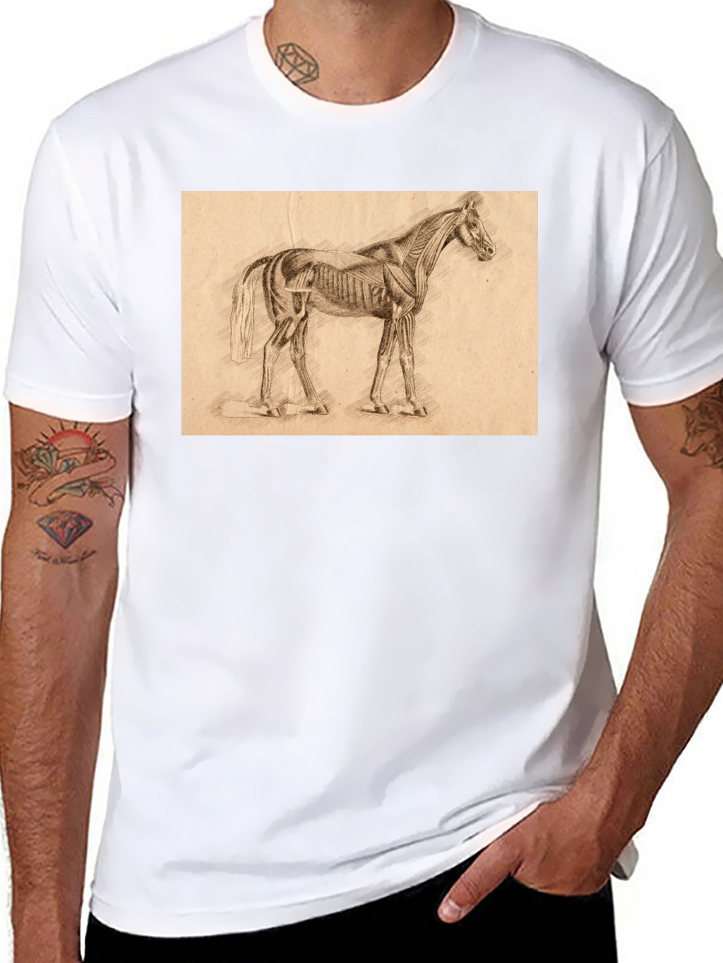 Horse Anatomy Sketch Black T-Shirt