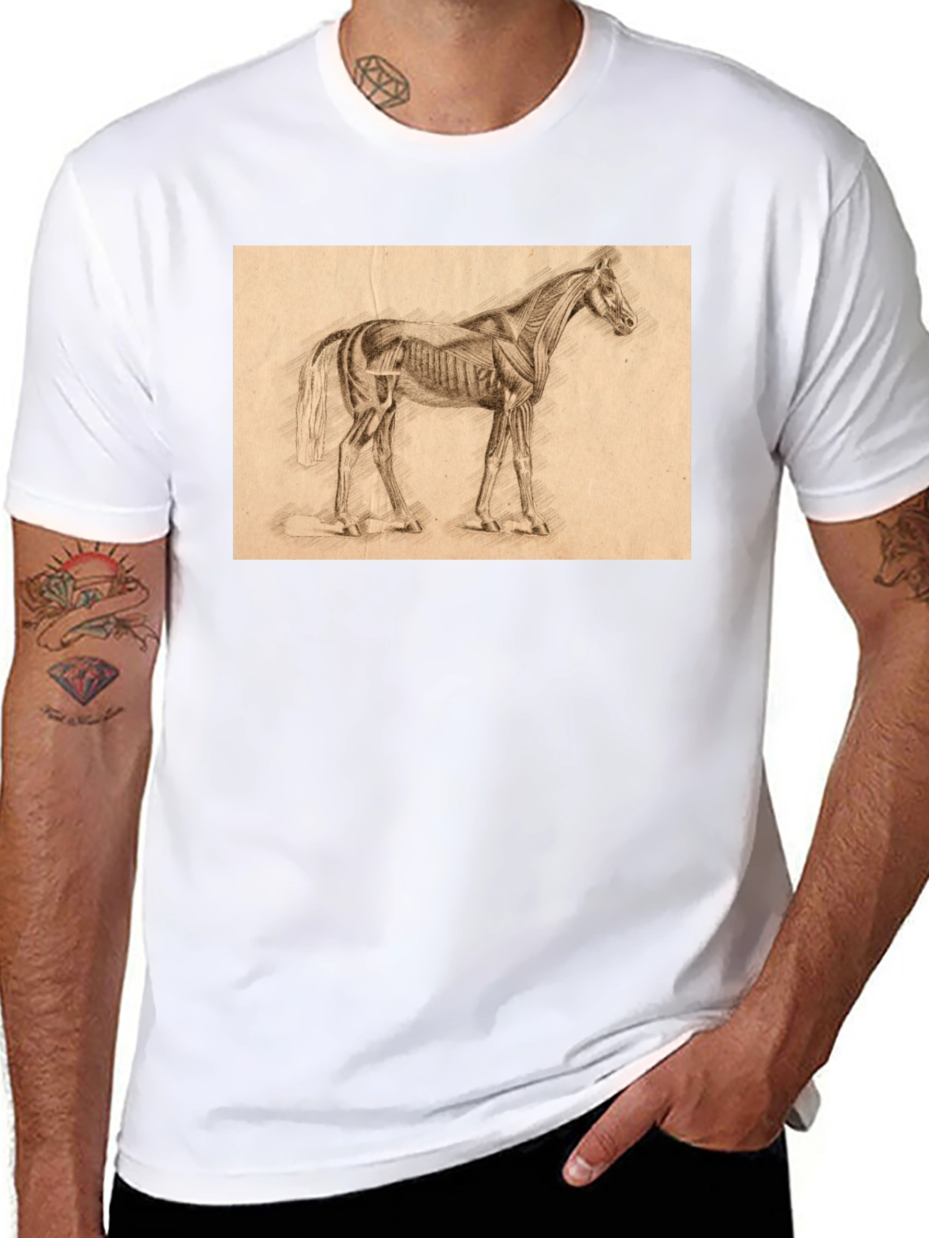 Horse Anatomy Sketch Black T-Shirt